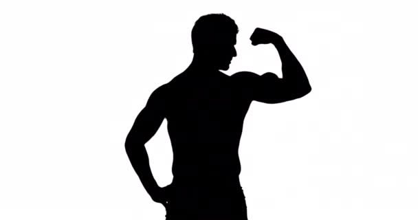 Muscular Silhouette Man Flexing Muscles White Background — Stock Video