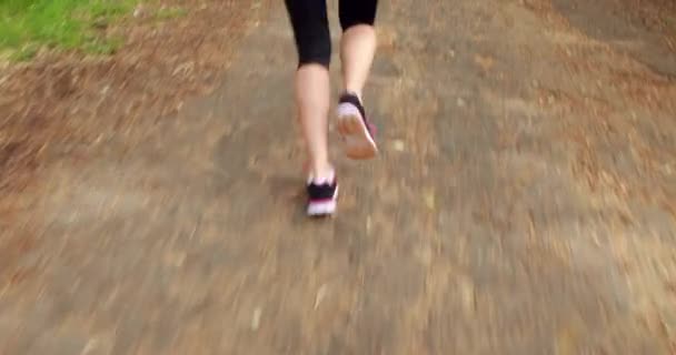 Kırsal Kesimde Ormanda Koşu Kadın — Stok video