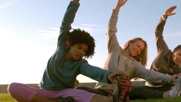 Sonrientes Mujeres Deportivas Estirándose Durante Clase Fitness Parkland — Vídeos de Stock