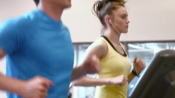 Yüksek Kaliteli Biçiminde Spor Salonunda Koşu Bandı Üzerinde Çalışan Çift — Stok video
