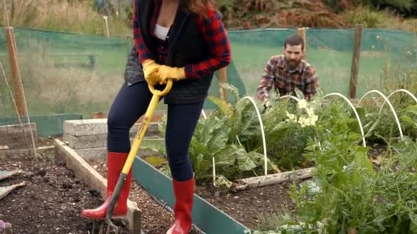 Jóvenes Jardinería Pareja Juntos — Vídeo de stock