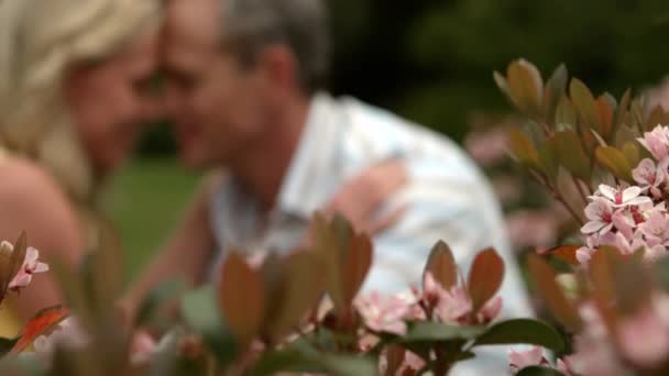 Maturo Felice Coppia Avendo Romanticismo All Aperto — Video Stock