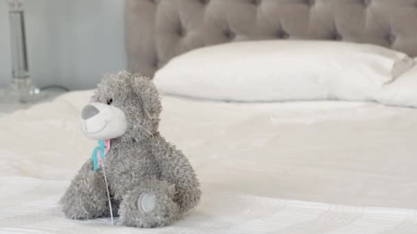 Urso Pelúcia Cinza Cama Casa — Vídeo de Stock