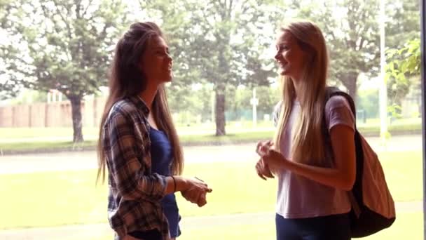 Två Studenter Som Pratar Med Varandra College — Stockvideo