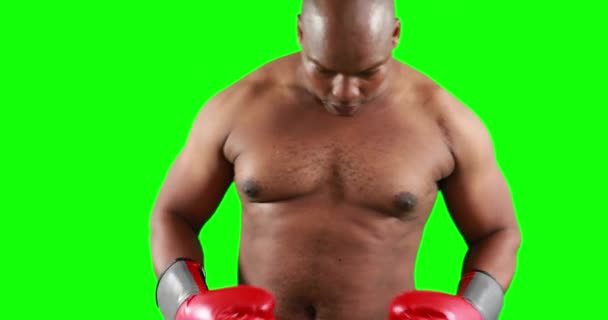 Boxeador Agresivo Posando Para Cámara Sobre Fondo Verde — Vídeos de Stock
