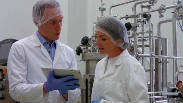 Científicos Alimentarios Trabajando Juntos Laboratorio Formato Alta Calidad — Vídeo de stock