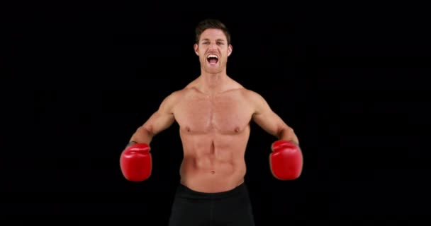 Boxer Sans Chemise Colère Avec Des Gants Sur Fond Noir — Video