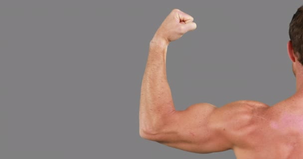 Homme Musclé Fléchissant Ses Muscles Sur Fond Gris — Video