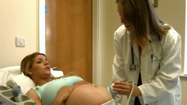 Doctor Performing Ultrasound Expecting Mother — Stock Video