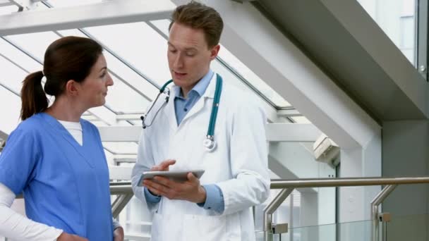 高品質 の形式で廊下で話している医師 — ストック動画