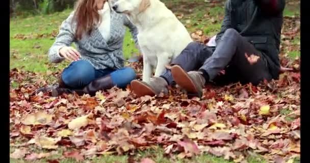 Famiglia Con Cane Nella Giornata Autunnale Parco Formato Alta Qualità — Video Stock