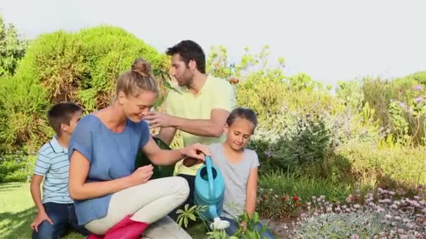 Felice Giovane Famiglia Giardinaggio Insieme Giardino — Video Stock