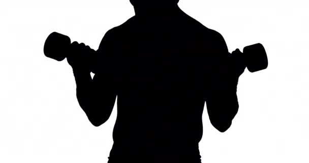 Muscular Silhouette Man Lifting Dumbbels White Background — Stock Video