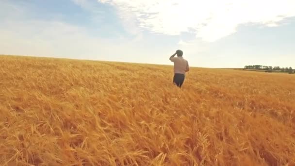 Letecký Pohled Zemědělce Procházel Jeho Polí Ultra Formátu — Stock video