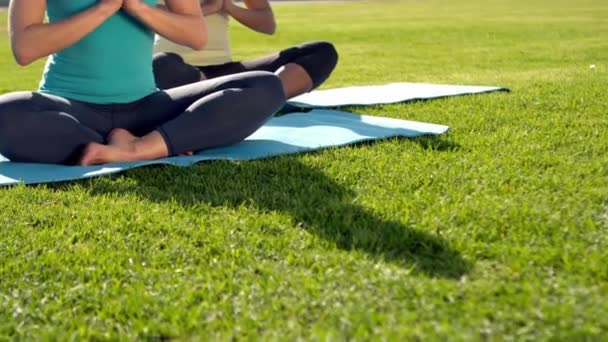 Mujeres Deportivas Pacíficas Haciendo Yoga Parque — Vídeos de Stock