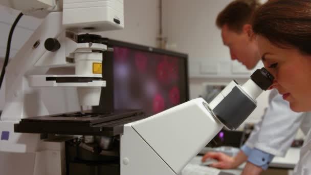 Cientista Olhando Através Microscópio Formato Alta Qualidade — Vídeo de Stock