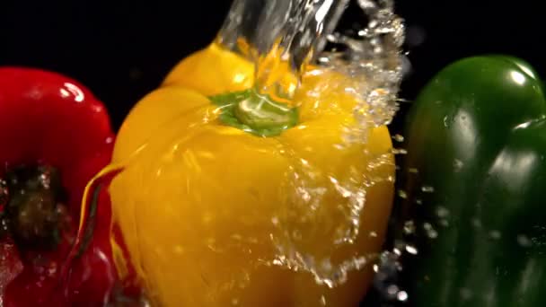 Water Falling Three Peppers Black Background — Stock Video