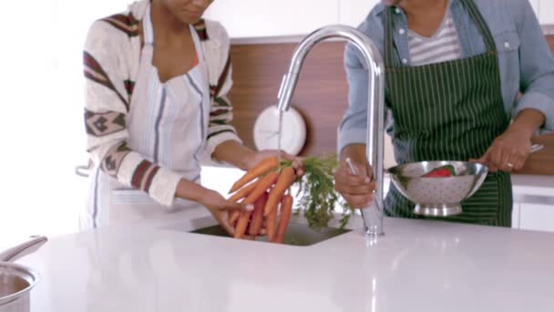 Pasangan Dengan Apron Mencuci Sayuran Dalam Gerakan Lambat — Stok Video