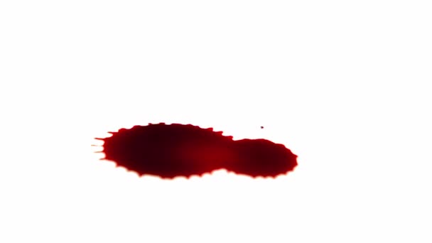 Капля Крови Белой Поверхности Замедленной Съемке — стоковое видео