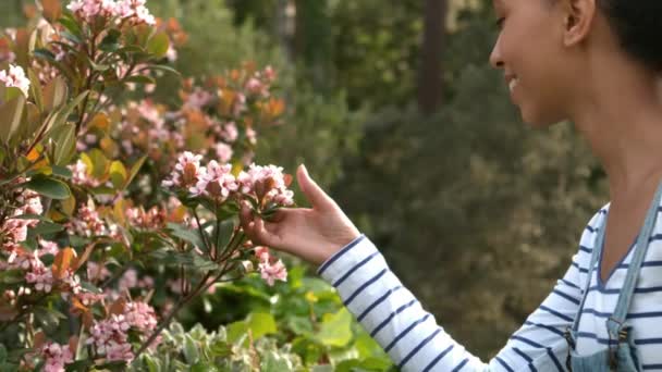 Mulher Bonita Cheirando Flores Jardim — Vídeo de Stock