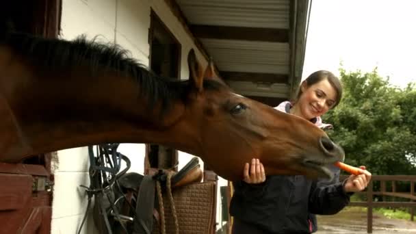 Jolie Brune Avec Son Cheval Mangeant Carotte Format Haute Qualité — Video