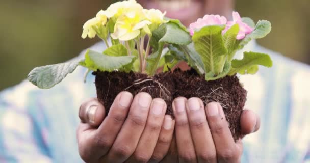 Mutlu Bahçıvan Bahçe Içinde Bir Bitki Holding — Stok video