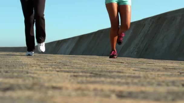 Två Sportiga Kvinnor Jogging Tillsammans Strandpromenaden — Stockvideo