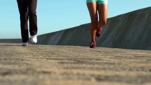 Dos Mujeres Deportistas Corriendo Juntas Paseo Marítimo — Vídeos de Stock