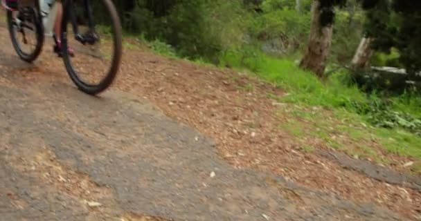 Paar Fietsen Door Een Bos Het Platteland — Stockvideo