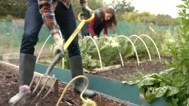 Jóvenes Jardinería Pareja Juntos — Vídeo de stock