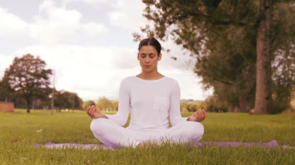 Güzel Esmer Kaliteli Biçimde Park Yoga Yaparken — Stok video
