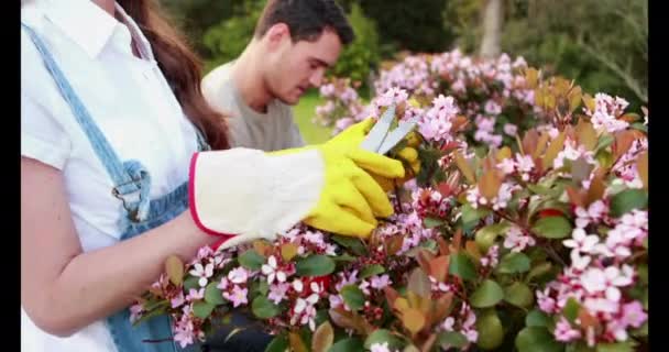 Cuplu Tânăr Care Își Taie Florile Grădină — Videoclip de stoc