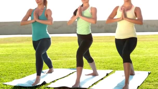 Sportif Kadın Bir Park Alanı Içinde Birlikte Yoga Yaparken Gülümseyen — Stok video