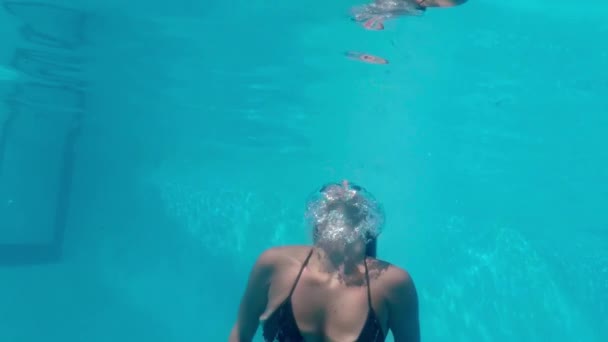 Підводний Вигляд Красивої Жінки Плаває Канікулах — стокове відео