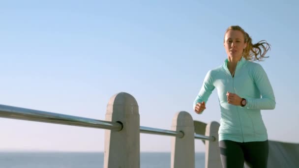 Mujer Deportiva Sonriente Haciendo Jogging Paseo Marítimo — Vídeos de Stock