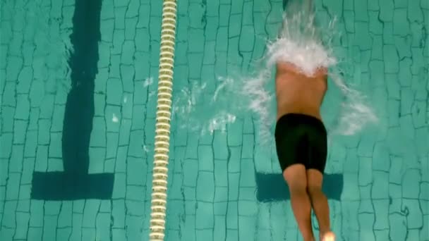 Fit Homme Plongeant Dans Piscine Ralenti — Video