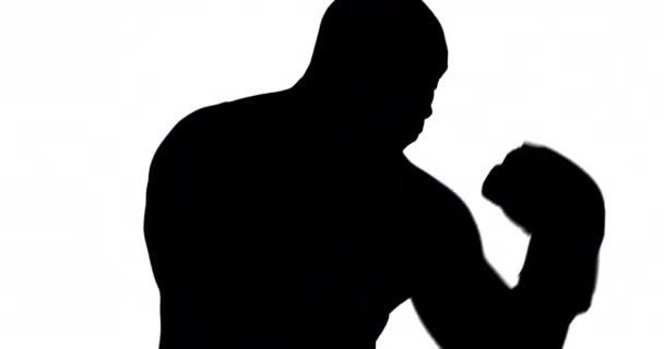 Muscular Silhouette Man Boxing White Background — Stock Video