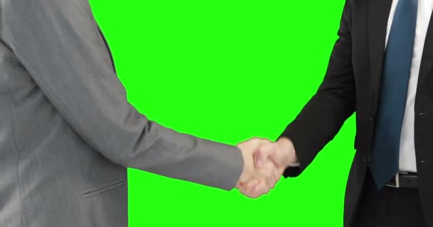 Business Mensen Handshaking Groen Scherm — Stockvideo