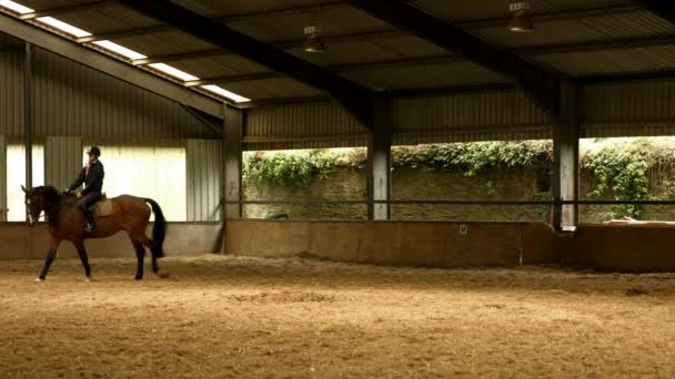 高品質の形式で彼女の馬に乗ってかなりブルネット — ストック動画