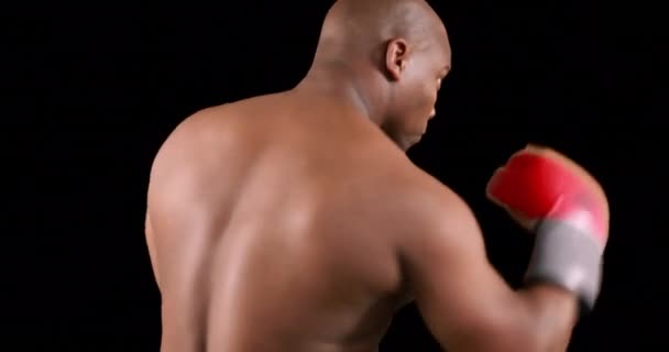 Серьезный Мускулистый Боксер Практикующийся Черном Фоне — стоковое видео