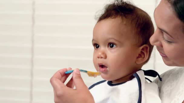 Ibu Bahagia Memberi Makan Bayi Laki Lakinya Dalam Format Berkualitas — Stok Video