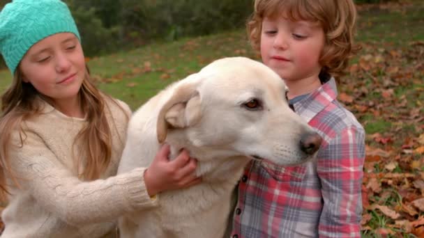 Glada Syskon Roligt Tillsammans Med Familjens Hund — Stockvideo