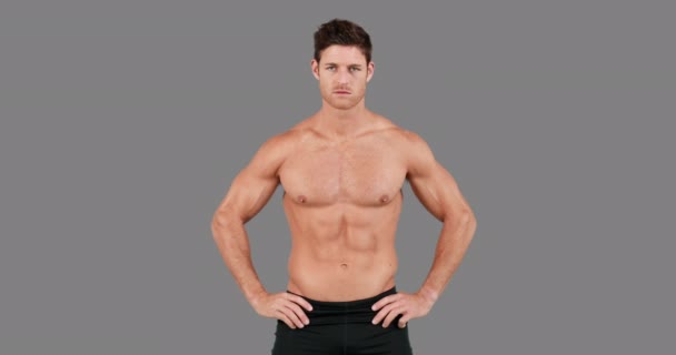 Muscular Man Flexing His Muscles Grey Background — Stock Video