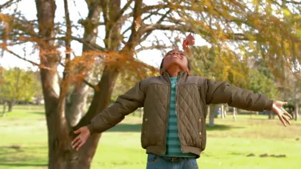Glückliches Kind Wirft Blätter Park Herum — Stockvideo