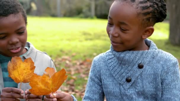 Glückliche Geschwister Die Zusammen Spaß Beim Betrachten Von Blättern Haben — Stockvideo