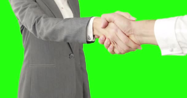 Business People Handshaking Green Screen — Stock Video