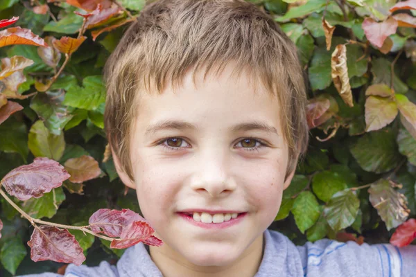 Portrait of smiling teenage boy at bush — Stock Photo, Image