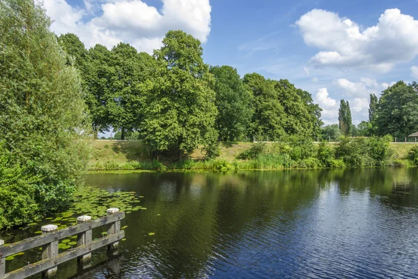 Holländische Sommerlandschaft mit grünen Bäumen und blauem Himmel — Stockfoto