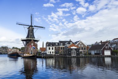 yel değirmeni ile güzel manzara. Haarlem, Hollanda