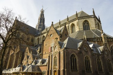 St bavo kilise veya 